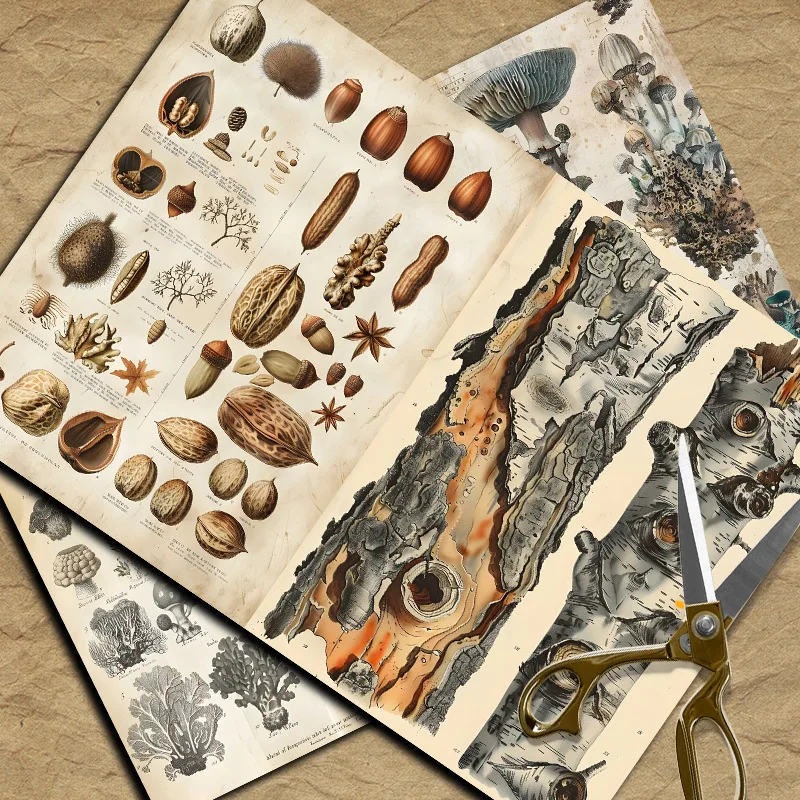 Новые винтажные бумаги из мате – обзор и цена Vintage Things Collection